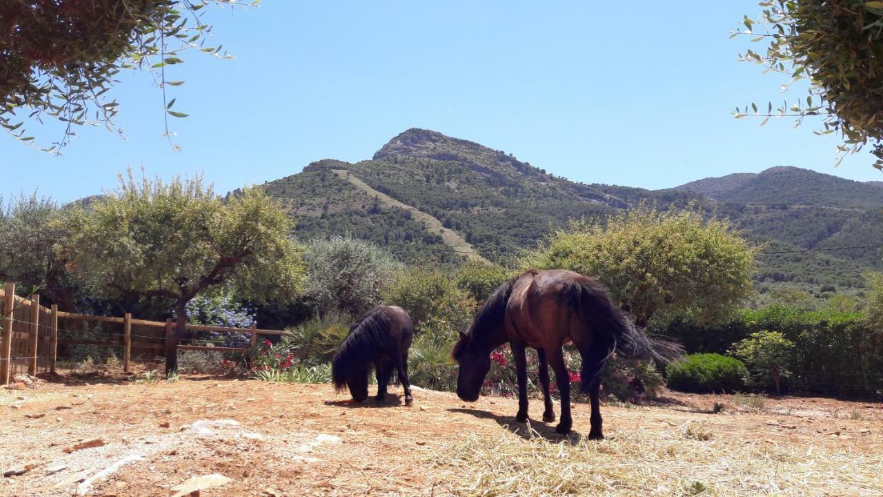 Finca Roca Vista, Adults Only Alhaurín el Grande Eksteriør billede
